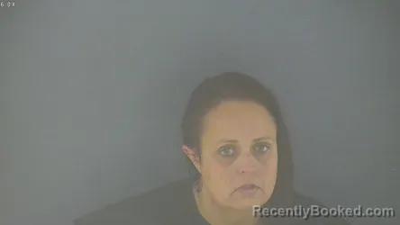 Mugshot of AMBER NICOLE JOHNSON booked in Lynchburg County, Virginia on June 17, 2026