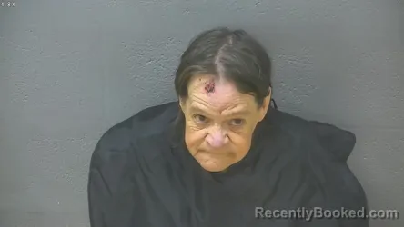 Mugshot of ANITA LYNN MARTIN booked in Lynchburg County, Virginia on March 25, 2026