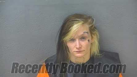 Booking photo from Lynchburg County, Virginia