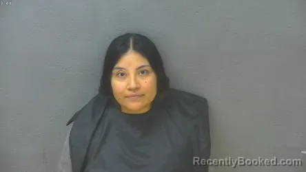 Mugshot of Ana Santiago Espana booked in Lynchburg County, Virginia on August 20, 2026