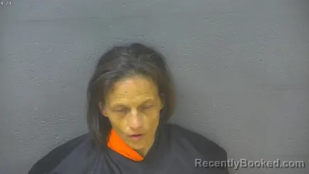 Mugshot of Amanda Faith Traylor booked in Lynchburg County, Virginia on August 19, 2026