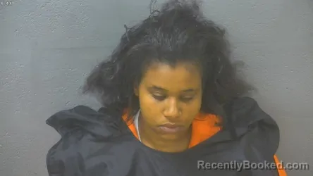 Mugshot of Ashley Nicole Williams booked in Lynchburg County, Virginia on September 29, 2026