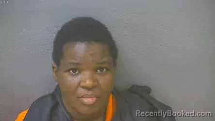Mugshot of Camica Marie Hamlette booked in Lynchburg County, Virginia on August 22, 2026