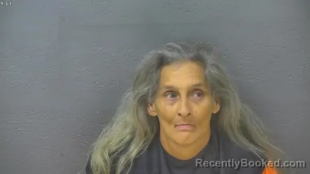 Mugshot of Cecelia Holland booked in Lynchburg County, Virginia on August 21, 2026