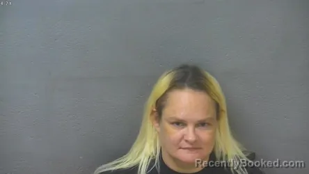 Mugshot of Christy Allen Wilson booked in Lynchburg County, Virginia on September 4, 2026