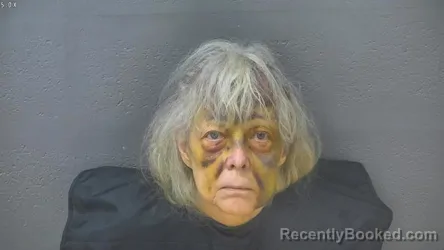 Mugshot of CARYLEE ELLEN WHITESIDE booked in Lynchburg County, Virginia on March 30, 2026