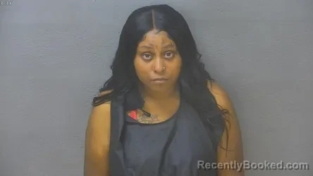 Mugshot of Dynasty Monea Anderson booked in Lynchburg County, Virginia on August 20, 2026