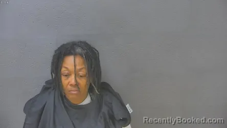 Mugshot of DONNA MICHELLE HORSLEY booked in Lynchburg County, Virginia on July 10, 2026