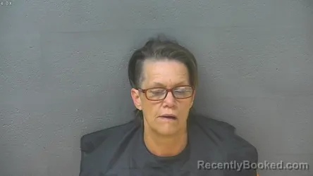 Mugshot of DAWN MICHELLE MCKINNEY booked in Lynchburg County, Virginia on April 29, 2026