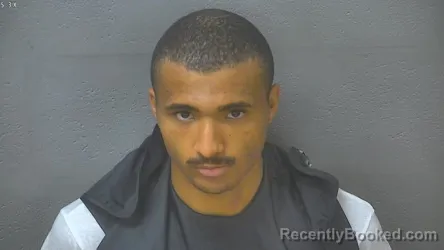 Mugshot of DOMINIC STEVEN PANNELL booked in Lynchburg County, Virginia on July 28, 2026