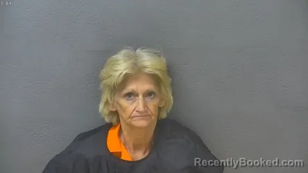 Mugshot of Deborah Ann Pheasant booked in Lynchburg County, Virginia on August 18, 2026