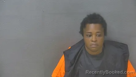 Mugshot of DEJUAN MONIQUE STEPTOE booked in Lynchburg County, Virginia on July 2, 2026