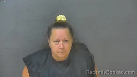 Mugshot of Debra Terzi booked in Lynchburg County, Virginia on August 13, 2026