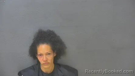 Mugshot of ELIZABETH DAWN BRYANT booked in Lynchburg County, Virginia on July 10, 2026