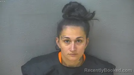 Mugshot of ELIZABETH ANN LOVE booked in Lynchburg County, Virginia on April 2, 2026