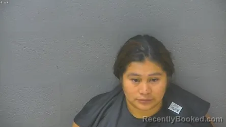 Mugshot of ESPERANZA MARTIN booked in Lynchburg County, Virginia on July 7, 2026