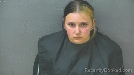 Mugshot of HANNAH MARIE PHELPS