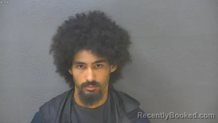 Mugshot of HOUSTON MADDOX WALKER booked in Lynchburg County, Virginia on July 11, 2026