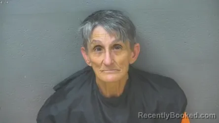 Mugshot of Jamie Lee Blankenship booked in Lynchburg County, Virginia on August 19, 2026