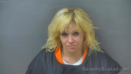 Mugshot of JESSICA ERIN LAUGHLIN