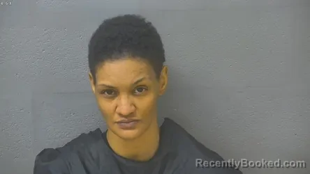 Mugshot of JANAE LADENA PADGETT booked in Lynchburg County, Virginia on April 2, 2026