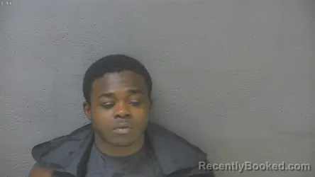 Mugshot of Jatrevion Artrailu Christ Terry booked in Lynchburg County, Virginia on August 8, 2026
