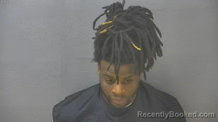 Mugshot of KERRY VON LOUISSAINT