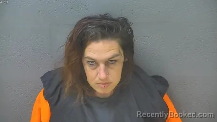 Mugshot of LACEY LEIGH PLESSINGER booked in Lynchburg County, Virginia on March 26, 2026