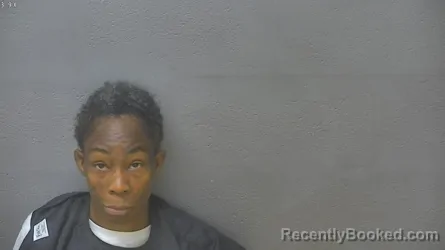 Mugshot of LATASHA SPINNER booked in Lynchburg County, Virginia on July 9, 2026