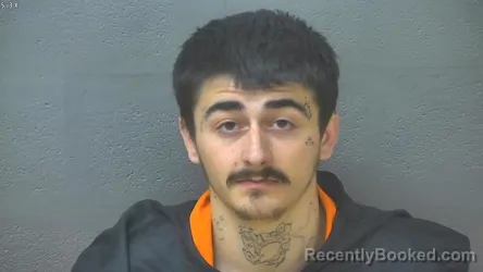 Mugshot of LANDON MASON TAYLOR