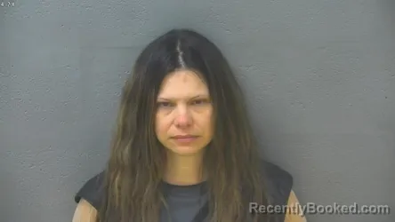 Mugshot of LISHA MARIE WINES booked in Lynchburg County, Virginia on March 27, 2026