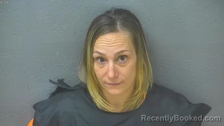 Mugshot of MELISSA ANN FRIEDLAND