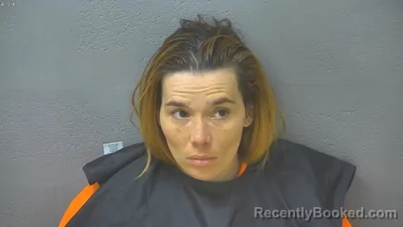 Mugshot of MARY ELIZABETH LILLEY booked in Lynchburg County, Virginia on March 19, 2026