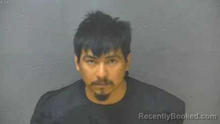 Mugshot of Nicolas Brisenio booked in Lynchburg County, Virginia on October 17, 2026