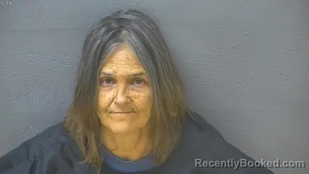 Mugshot of NANCY CAMPAGNINO booked in Lynchburg County, Virginia on March 16, 2026