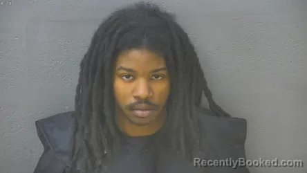 Mugshot of NAYQUAN KYREEK WILLIAMS booked in Lynchburg County, Virginia on March 19, 2026