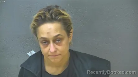 Mugshot of SHANNON MARIE LONG