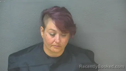 Mugshot of Sandy Marie Robertson booked in Lynchburg County, Virginia on October 17, 2026