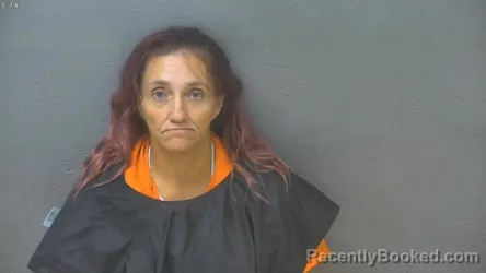 Mugshot of Tina Marie Stanton booked in Lynchburg County, Virginia on August 14, 2026