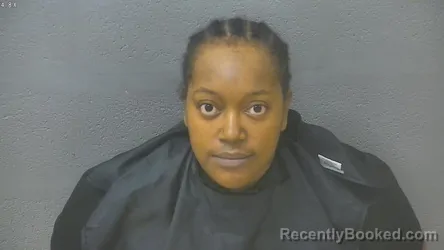 Mugshot of TYRIANNA ALIYAH TAYLOR booked in Lynchburg County, Virginia on July 8, 2026