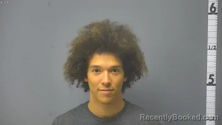 Mugshot of NATHANIEL XAVIER PALLANT