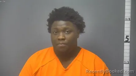 Mugshot of JAYLEN WEBB