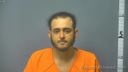 Mugshot of CHRISTIAN OMAR HOLLOWAY
