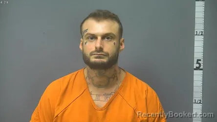Mugshot of VINCENT ALEXANDER TAMBURO
