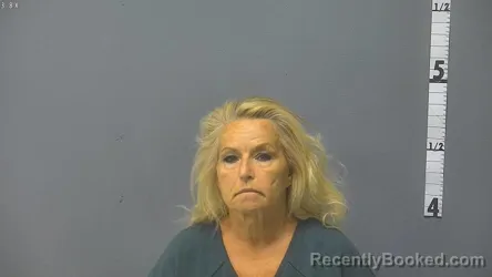 Mugshot of VICKIE LYNN HAWKINS booked in Staunton County, Virginia on June 15, 2026