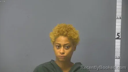 Mugshot of ASHLEY NICOLE BROWN booked in Staunton County, Virginia on June 24, 2026
