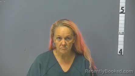 Mugshot of VIRGINIA LASHAUN PAINTER booked in Staunton County, Virginia on July 4, 2026