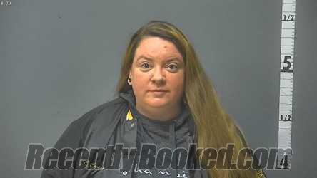 Booking photo from Waynesboro County, Virginia