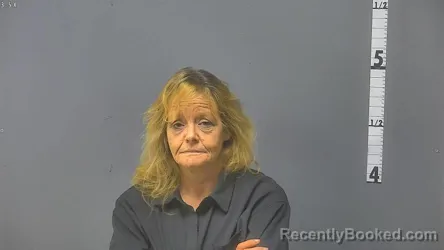 Mugshot of KELLY ANN LEVEY