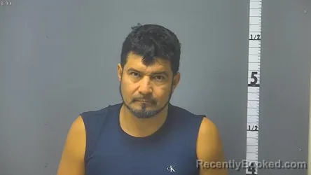 Mugshot of LEIVI A PALACIOS